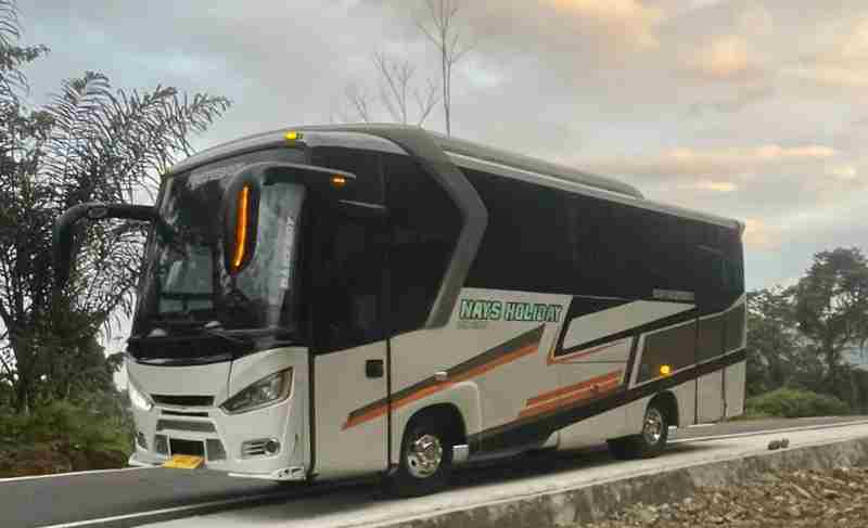 Bus Pariwisata